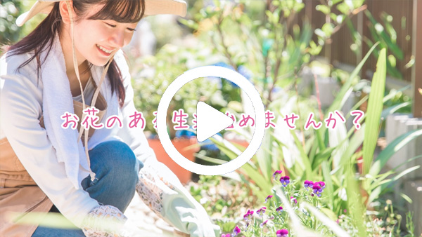 グリーンスマイルプロジェクト