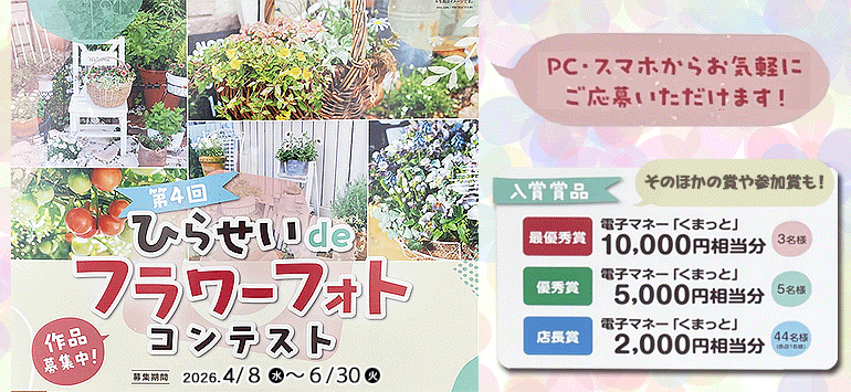 フォトコンテスト